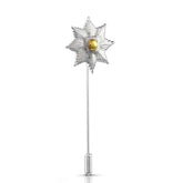 The Royal Star